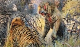 太原二虎爆料视频,揭秘背后惊人真相